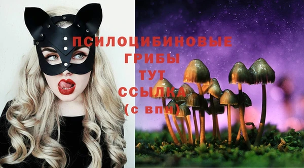 дживик Алзамай