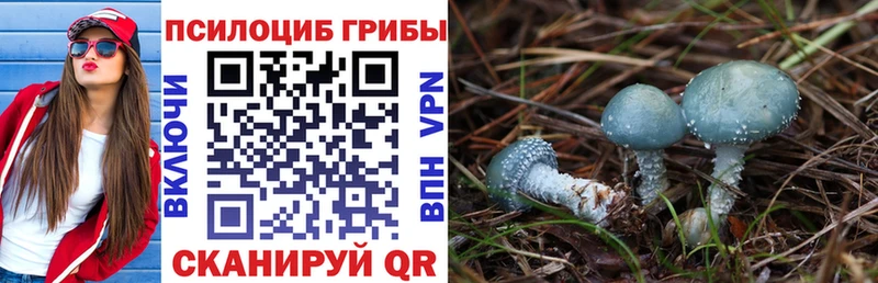 Псилоцибиновые грибы мицелий Билибино
